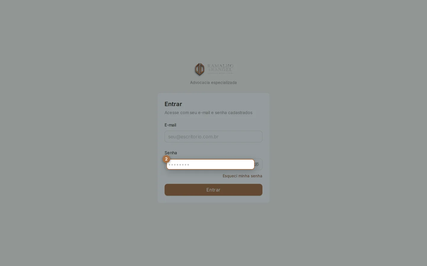 A senha é a que você criou pelo link do convite: no mínimo 8 caracteres, com maiúscula, número e caractere especial. O ícone do olho mostra o que foi digitado.